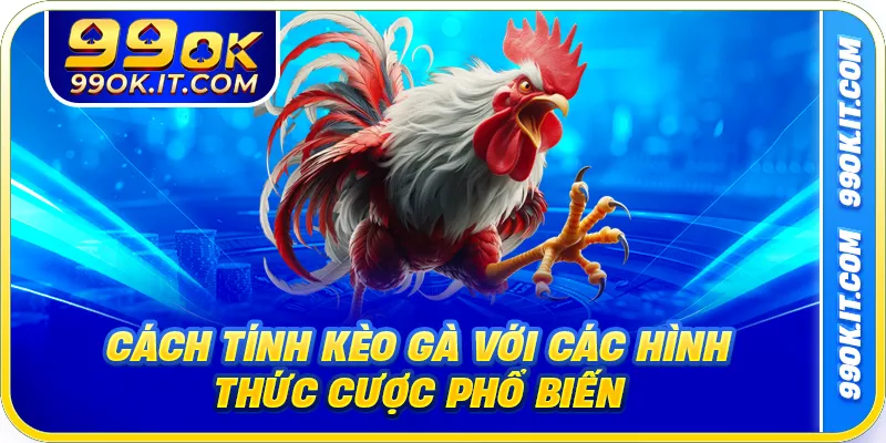 Cách tính kèo gà với các hình thức cược phổ biến