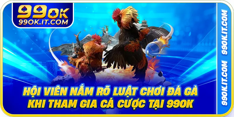 Hội viên nắm rõ luật chơi đá gà khi tham gia cá cược tại 99OK