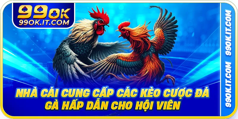 Nhà cái cung cấp các kèo cược đá gà hấp dẫn cho hội viên